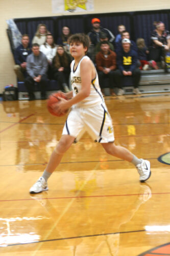 Lakes sink Vikings on the basketball court, 64